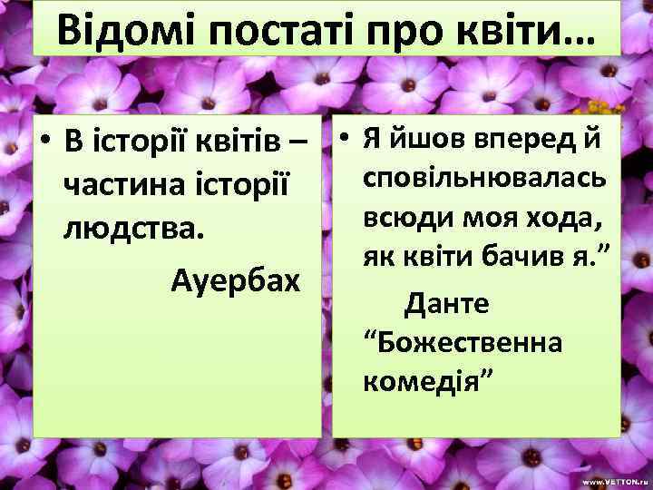Відомі постаті про квіти… • В історії квітів – • Я йшов вперед й