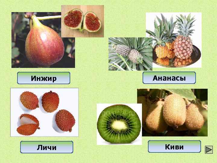 Инжир Ананасы Личи Киви 