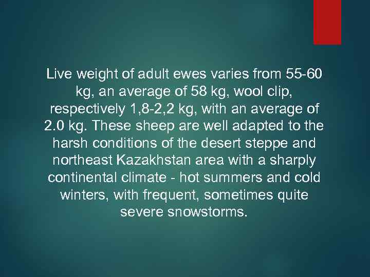 Live weight of adult ewes varies from 55 -60 kg, an average of 58