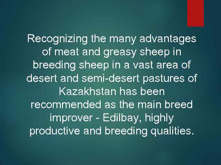 Recognizing the many advantages of meat and greasy sheep in breeding sheep in a