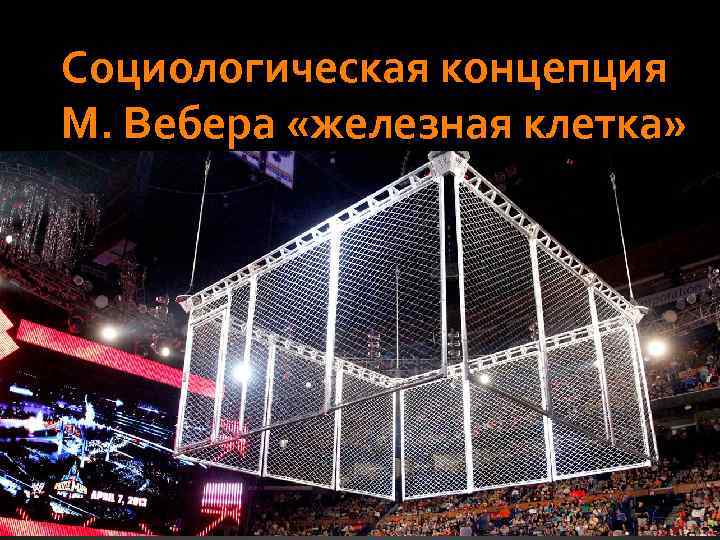 Социологическая концепция М. Вебера «железная клетка» 