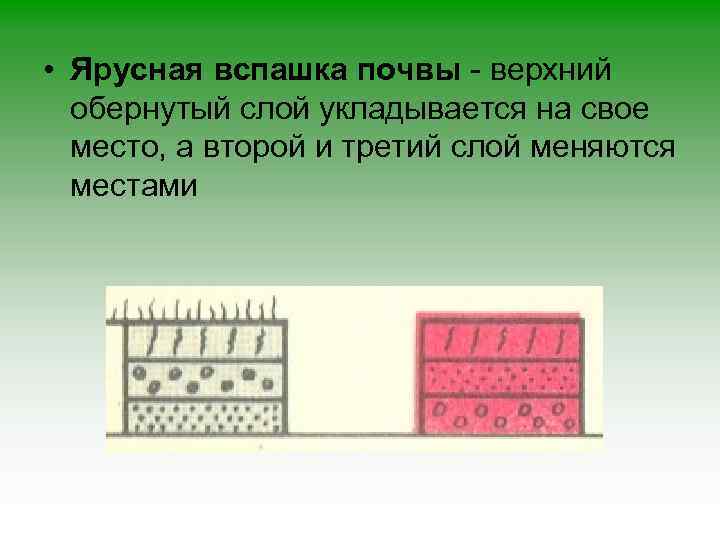  • Ярусная вспашка почвы - верхний обернутый слой укладывается на свое место, а