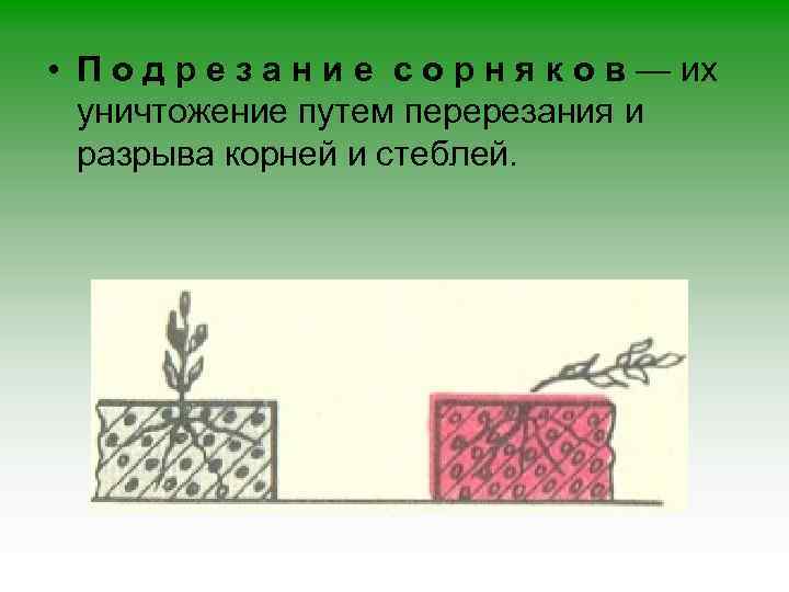  • П о д р е з а н и е с о