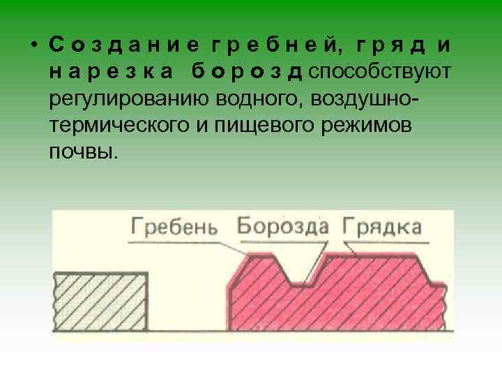  • С о з д а н и е г р е б