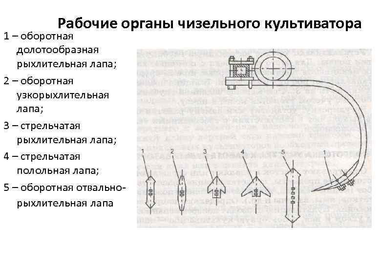Рабочие органы чизельного культиватора 1 – оборотная долотообразная рыхлительная лапа; 2 – оборотная узкорыхлительная