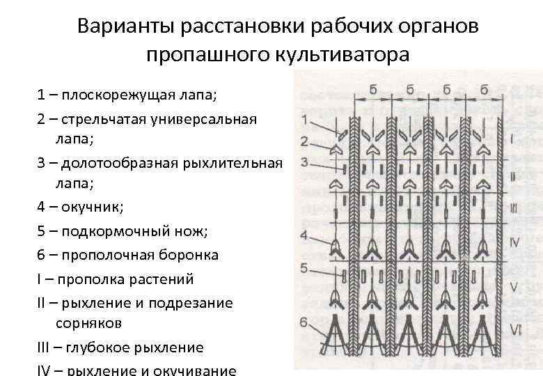 Варианты расстановки рабочих органов пропашного культиватора 1 – плоскорежущая лапа; 2 – стрельчатая универсальная