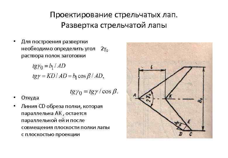 Проектирование стрельчатых лап. Развертка стрельчатой лапы • Для построения развертки необходимо определить угол 2