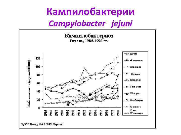 Кампилобактерии Campylobacter jejuni 