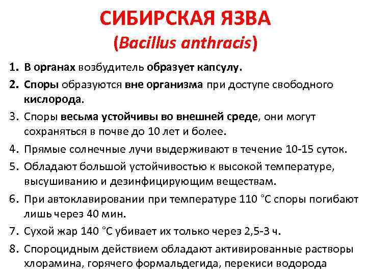 CИБИРСКАЯ ЯЗВА (Bacillus anthracis) 1. В органах возбудитель образует капсулу. 2. Споры образуются вне