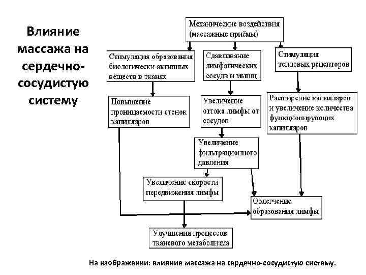 Влияние массажа на сердечнососудистую систему На изображении: влияние массажа на сердечно-сосудистую систему. 