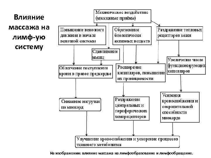 Влияние массажа на лимф-ую систему На изображении: влияние массажа на лимфообразование и лимфообращение. 