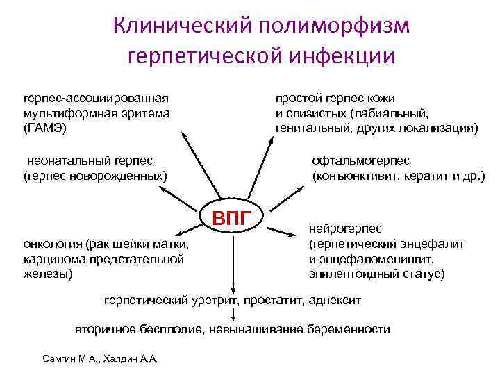 Клинический полиморфизм герпетической инфекции герпес-ассоциированная мультиформная эритема (ГАМЭ) простой герпес кожи и слизистых (лабиальный,