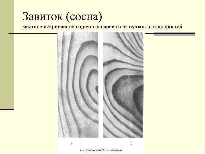 Гост 2140 81 видимые пороки древесины с картинками