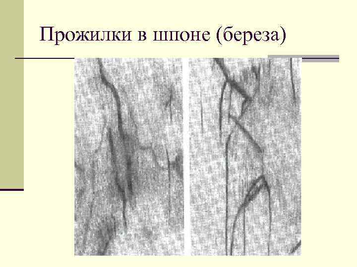 Гост пороки древесины с цветными картинками