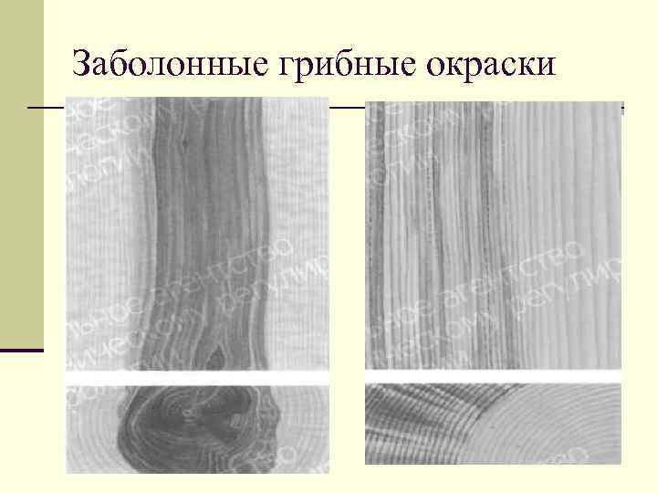 Гост пороки древесины с цветными картинками