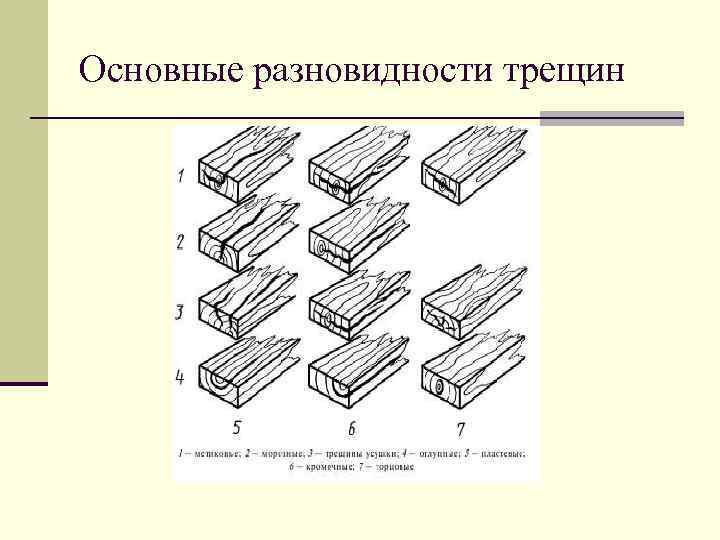 Гост пороки древесины с цветными картинками