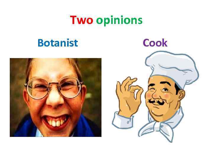 Two opinions Botanist Cook 