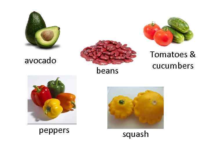 avocado peppers Tomatoes & cucumbers beans squash 