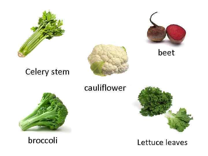 beet Celery stem cauliflower broccoli Lettuce leaves 