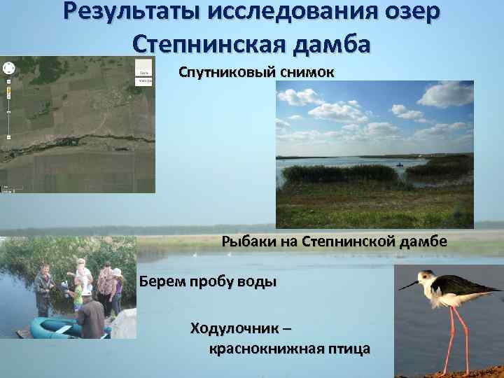 Результаты исследования озер Степнинская дамба Спутниковый снимок Рыбаки на Степнинской дамбе Берем пробу воды