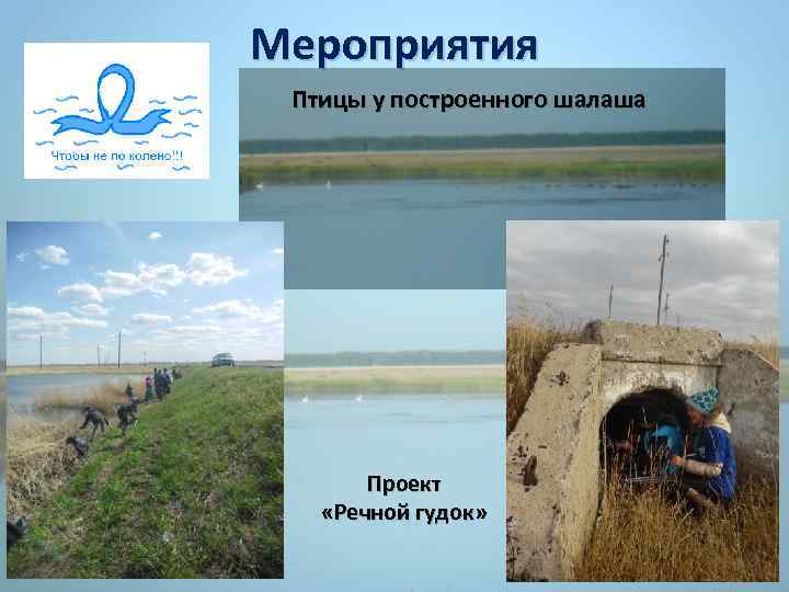 Мероприятия Птицы у построенного шалаша Проект «Речной гудок» 