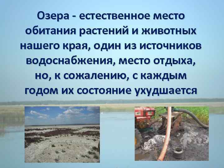 Озера - естественное место обитания растений и животных нашего края, один из источников водоснабжения,