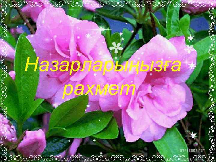 Назарларыңызға рахмет 