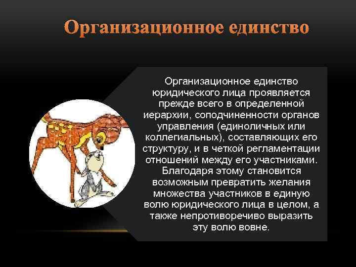 Организационное единство юридического лица проявляется прежде всего в определенной иерархии, соподчиненности органов управления (единоличных
