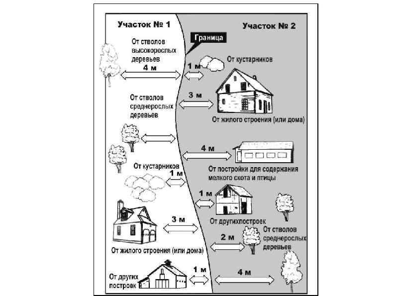 Земли садоводства можно ли строить жилой дом. Виды высокорослых деревьев на участке. Среднерослые и высокорослые деревья критерии. Высота среднерослых деревьев на садовом участке. Границы участка дома рисунок.