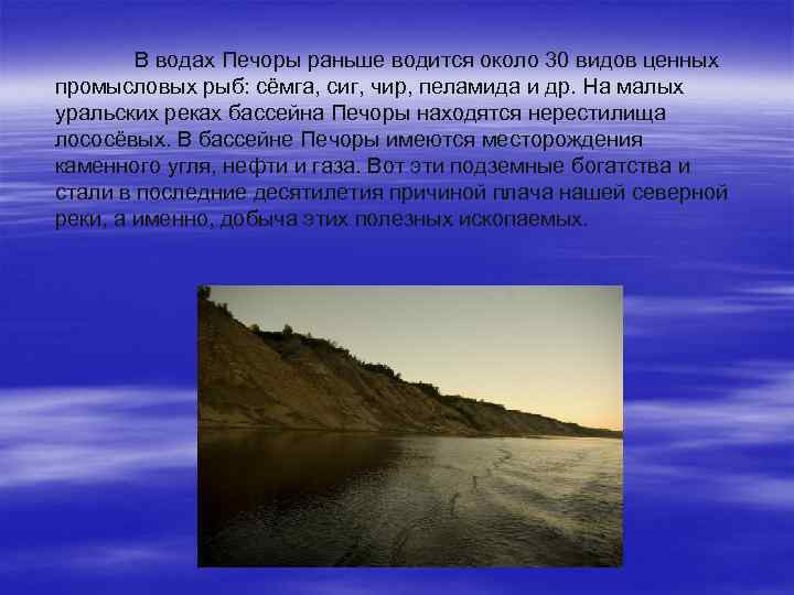 В водах Печоры раньше водится около 30 видов ценных промысловых рыб: сёмга, сиг, чир,