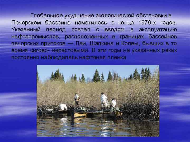 Глобальное ухудшение экологической обстановки в Печорском бассейне наметилось с конца 1970 -х годов. Указанный