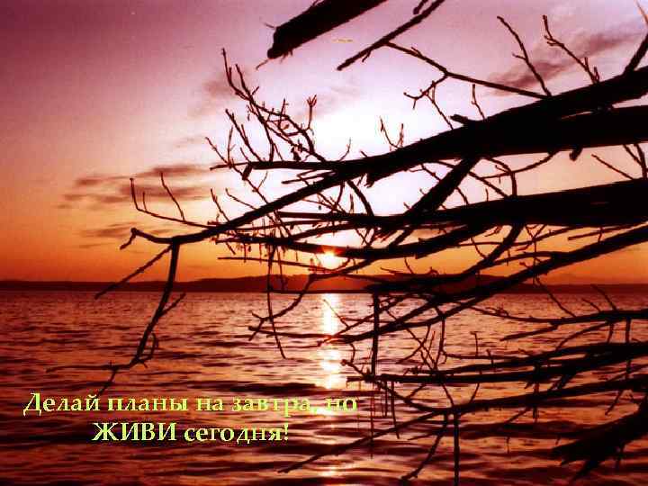 Делай планы на завтра, но ЖИВИ сегодня! 