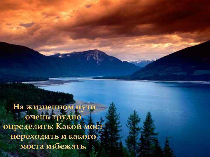 На жизненном пути очень трудно определить: Какой мост переходить и какого моста избежать. 