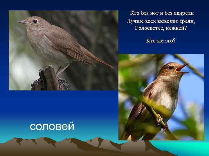 Кто без нот и без свирели Лучше всех выводит трели, Голосистее, нежней? Кто же