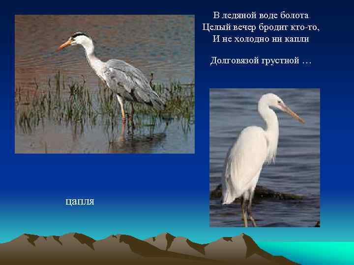 В ледяной воде болота Целый вечер бродит кто-то, И не холодно ни капли Долговязой