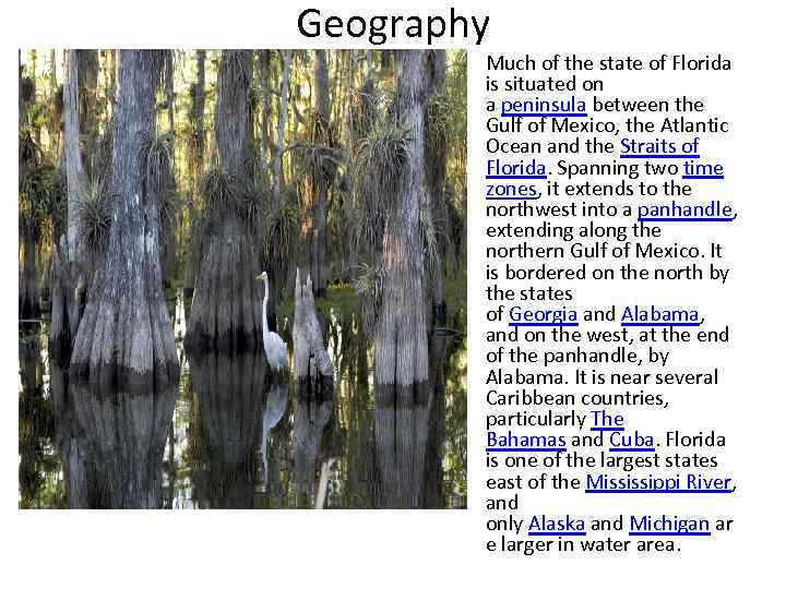 Geography • Much of the state of Florida is situated on a peninsula between