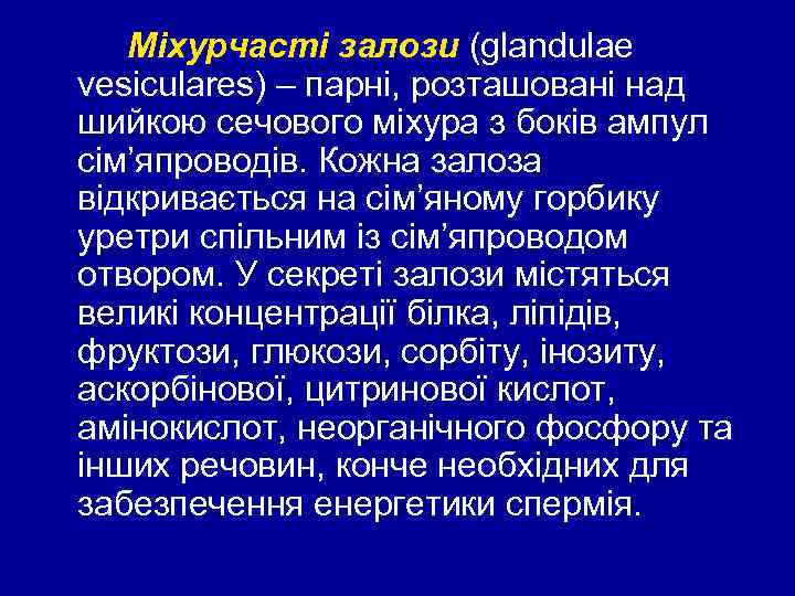 Міхурчасті залози (glandulae vesiculares) – парні, розташовані над шийкою сечового міхура з боків ампул