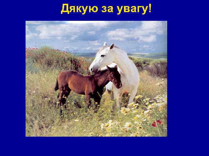 Дякую за увагу! 