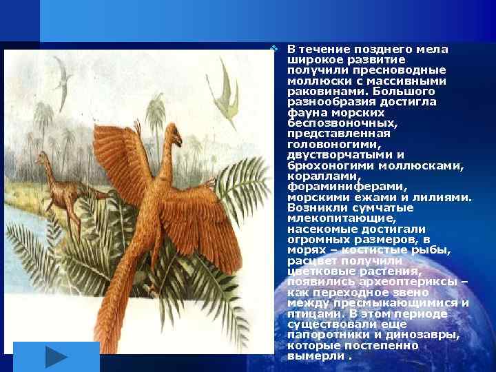 v В течение позднего мела широкое развитие получили пресноводные моллюски с массивными раковинами. Большого