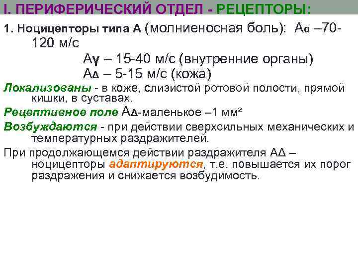 I. ПЕРИФЕРИЧЕСКИЙ ОТДЕЛ - РЕЦЕПТОРЫ: 1. Ноцицепторы типа А (молниеносная боль): Аα – 70120