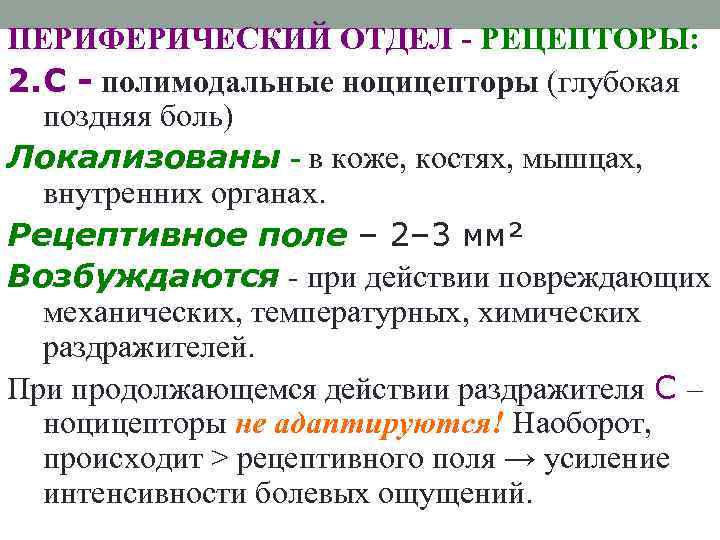 ПЕРИФЕРИЧЕСКИЙ ОТДЕЛ - РЕЦЕПТОРЫ: 2. С - полимодальные ноцицепторы (глубокая поздняя боль) Локализованы -