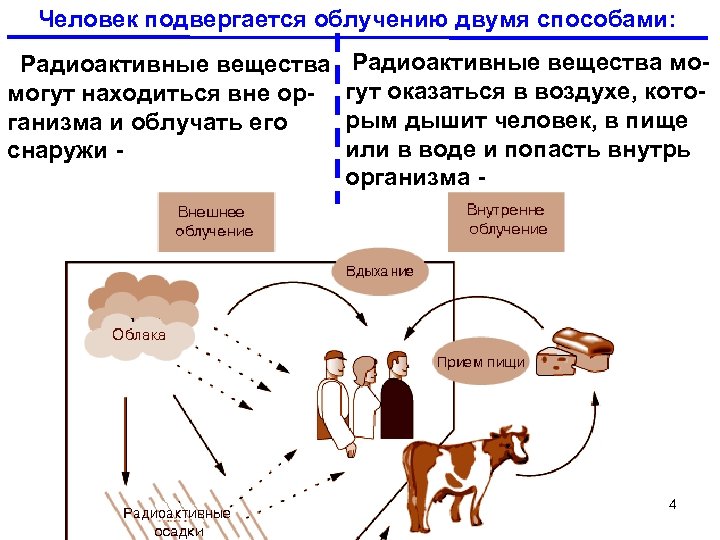 Воздействие радиации на организм дополните схему