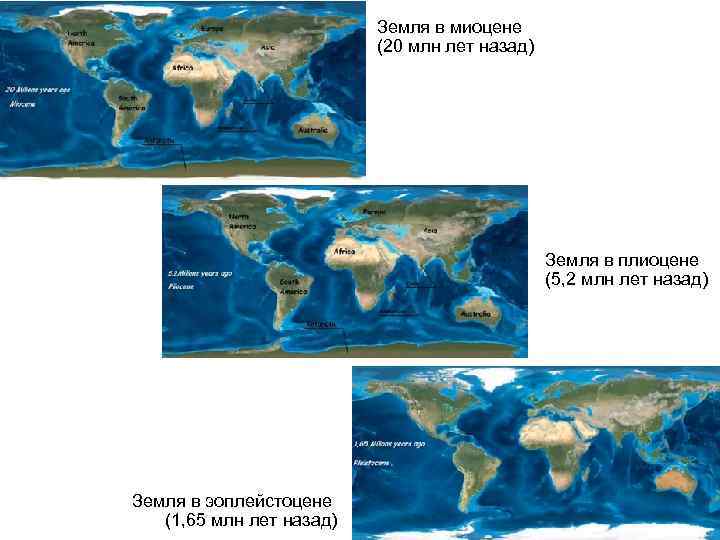 Земля в миоцене (20 млн лет назад) Земля в плиоцене (5, 2 млн лет