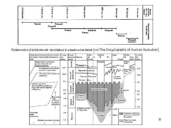 Развитие и расселение человека в каменном веке (по The Encyclopedia of Human Evolution) 6