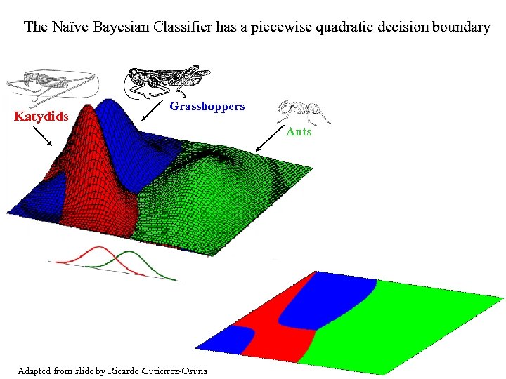 The Naïve Bayesian Classifier has a piecewise quadratic decision boundary Katydids Grasshoppers Ants Adapted