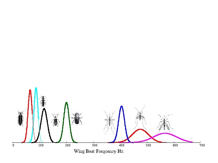 0 100 200 300 400 Wing Beat Frequency Hz 500 600 700 