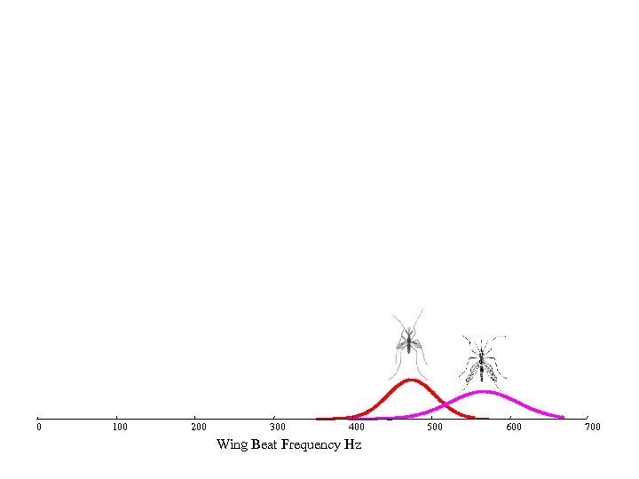 0 100 200 300 400 Wing Beat Frequency Hz 500 600 700 