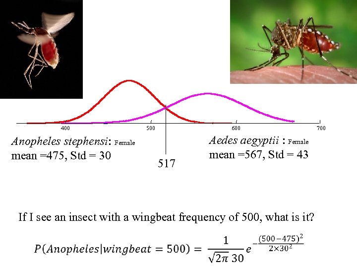 400 Anopheles stephensi: Female mean =475, Std = 30 500 600 517 Aedes aegyptii