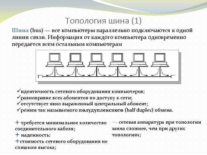 Топология локальных сетей шинная