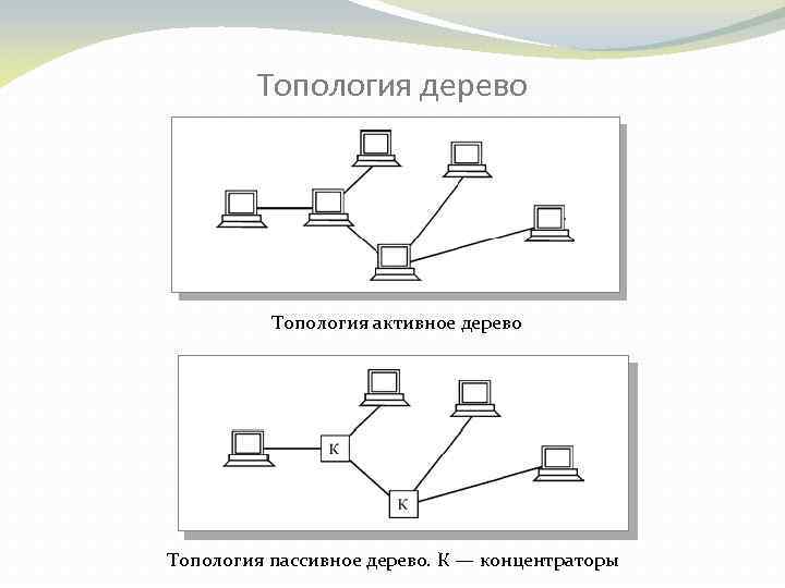 Топология дерево Топология активное дерево Топология пассивное дерево. К — концентраторы 